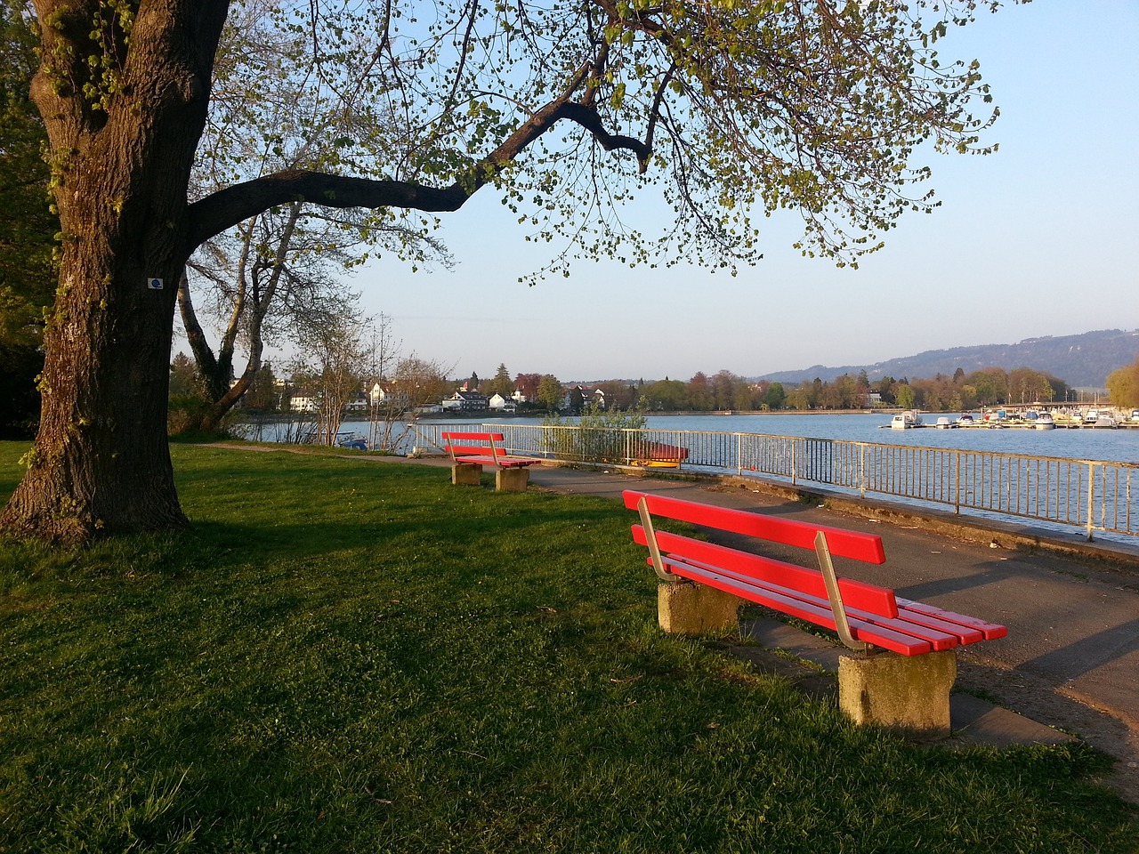 比尔虽然能 比尔虽然能