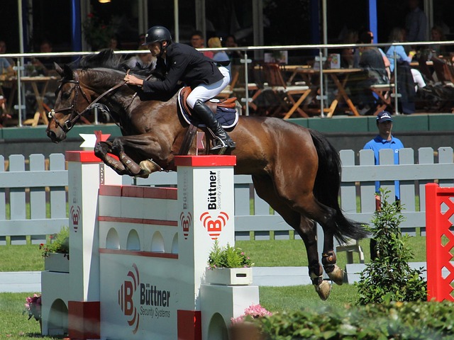 担任重要角 担任重要角