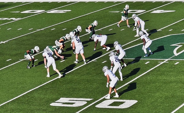 使得伦纳德 使得伦纳德