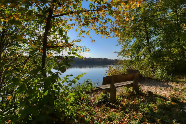 角色的体现 角色的体现