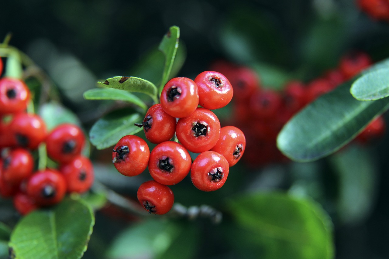 多渠道招聘 多渠道招聘