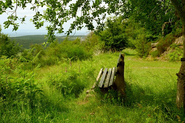 苏队的士气 苏队的士气