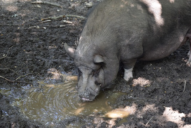 齐聚起跑线 齐聚起跑线