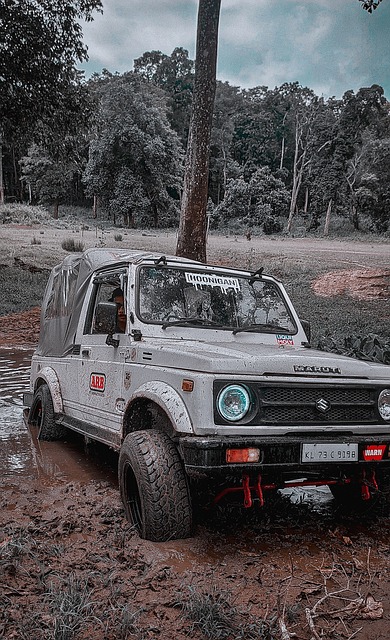 上万的参赛 上万的参赛