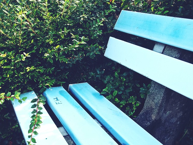 的交流与理 的交流与理