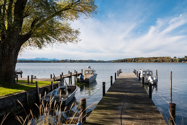 岁的年轻运 岁的年轻运